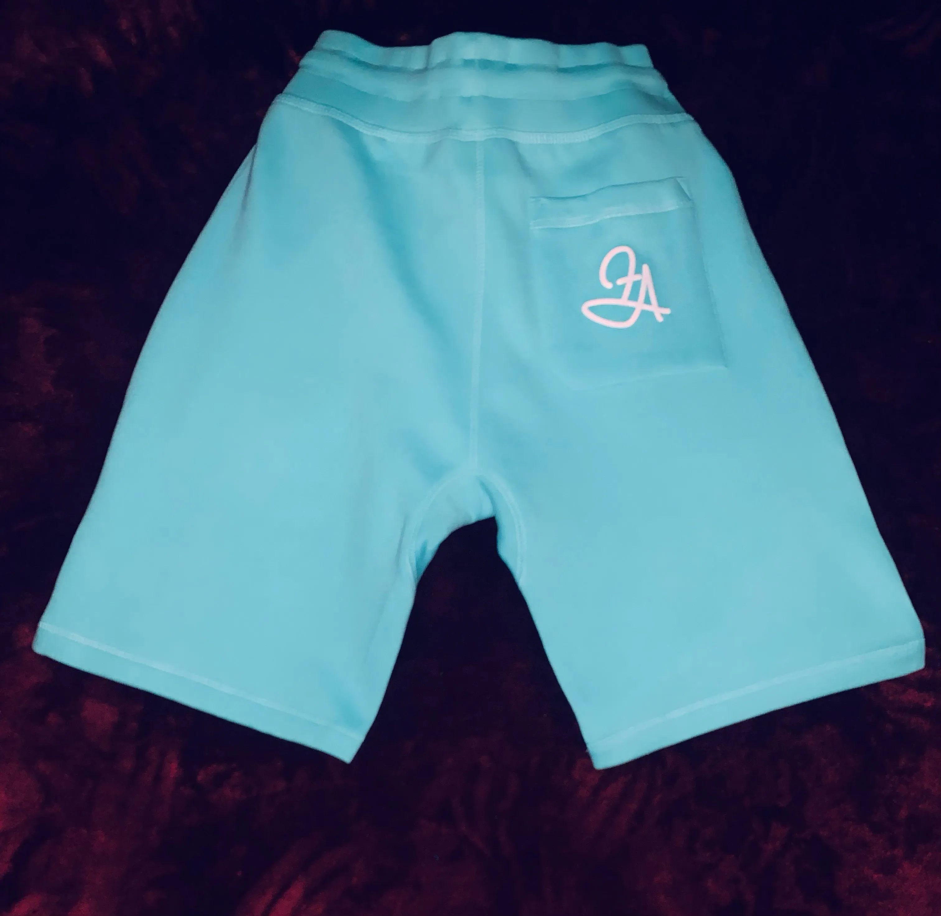 Fallon Aurielle Unisex Signature Detroit Rep Yo Set Shorts (Seafoam Green & White)