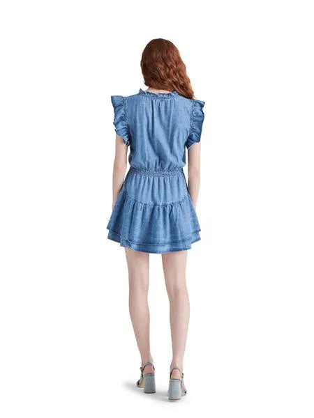 Prairie Dreams Chambray Dress