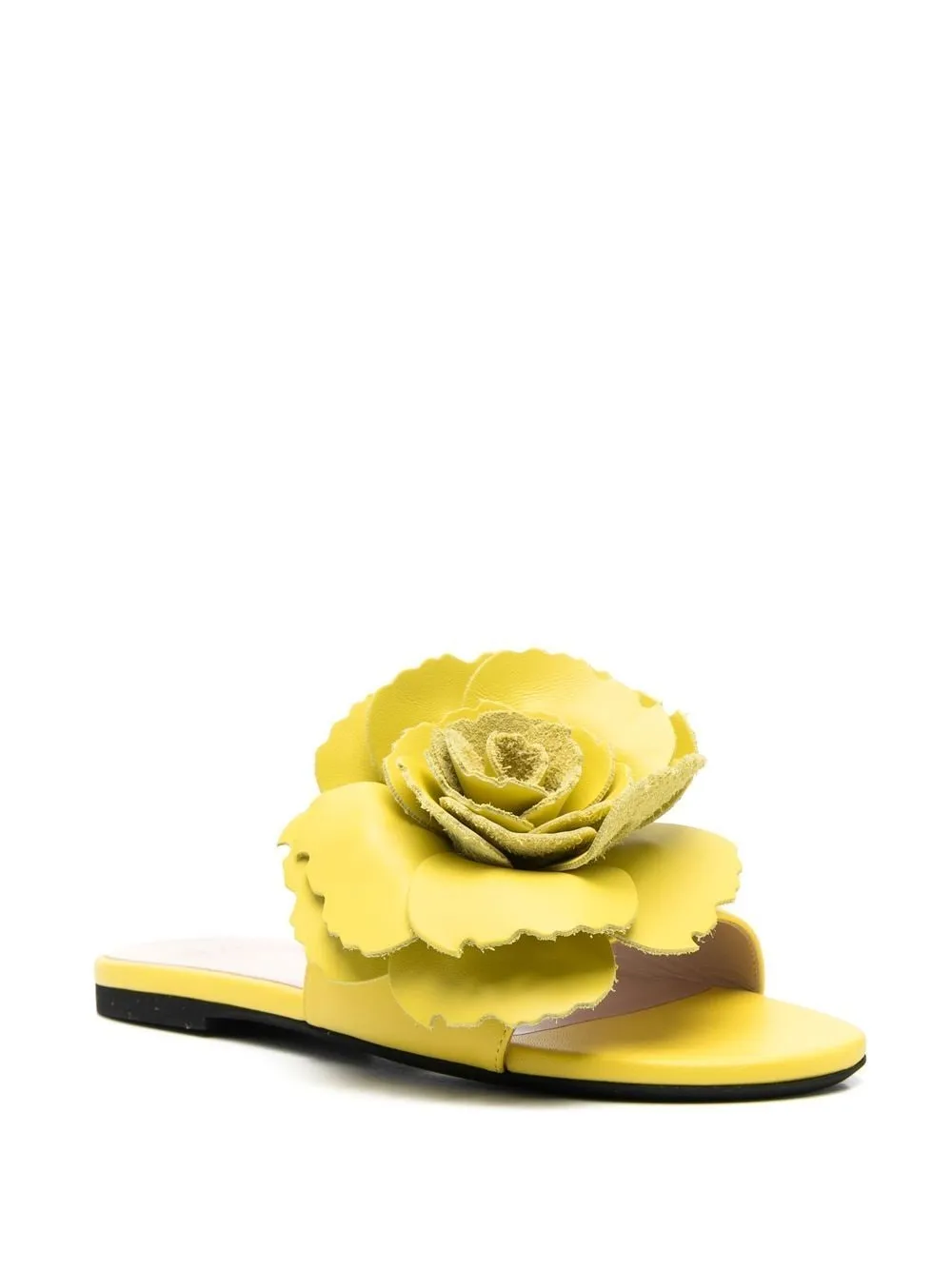 Slides