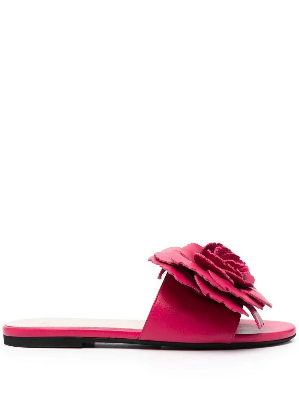 Slides