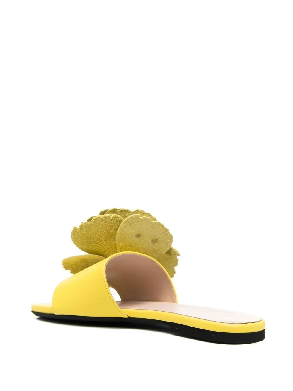 Slides