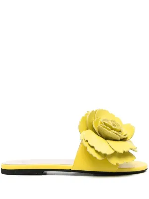 Slides