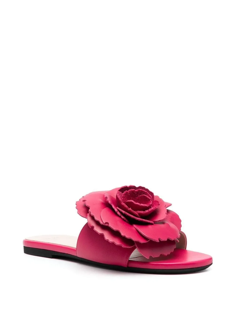 Slides