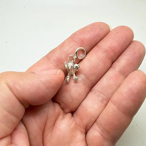 Sterling Silver Kiwi Rugby Player Charm